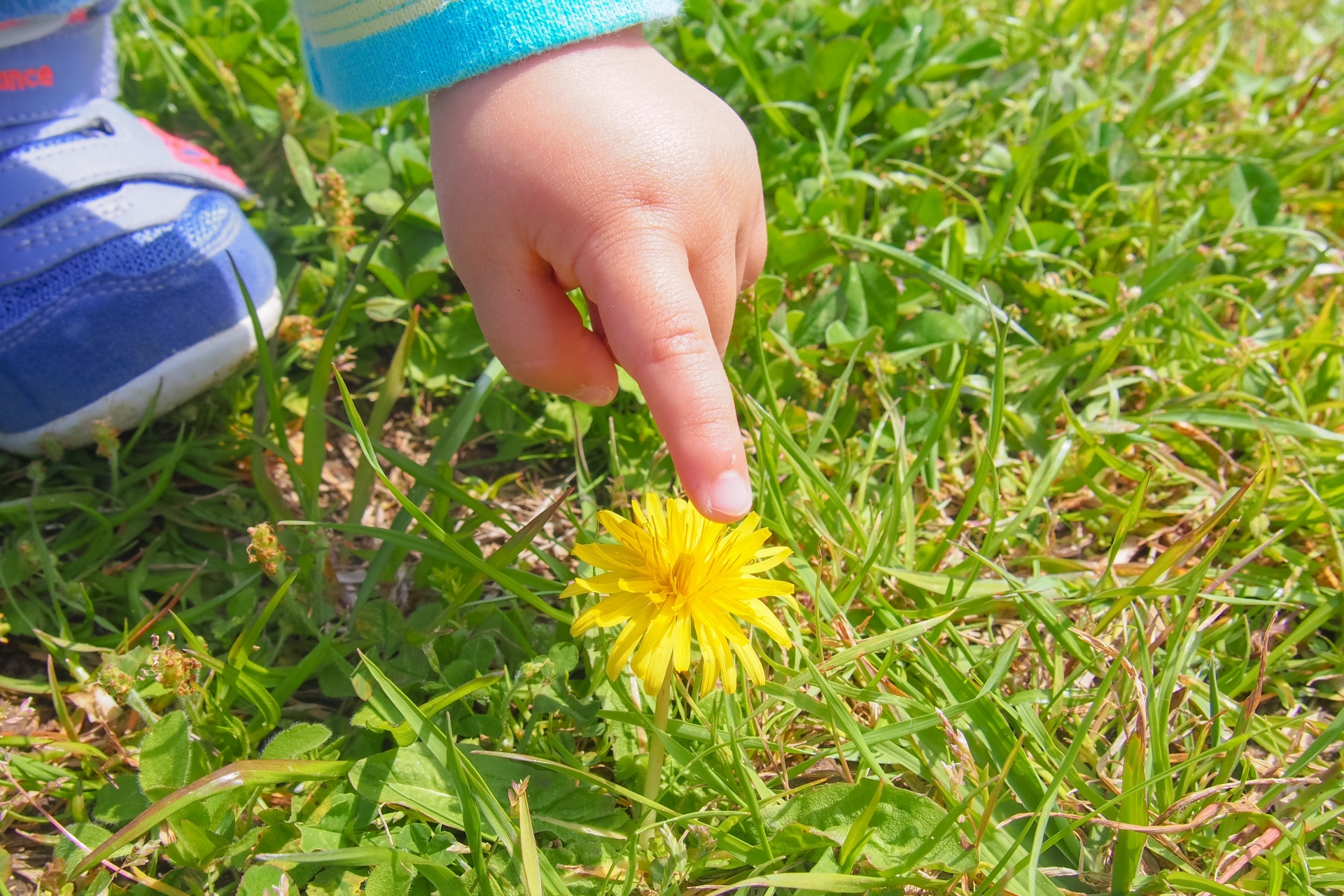子育て中はしっかり有効活用。市区町村の知っておきたい３つの制度！